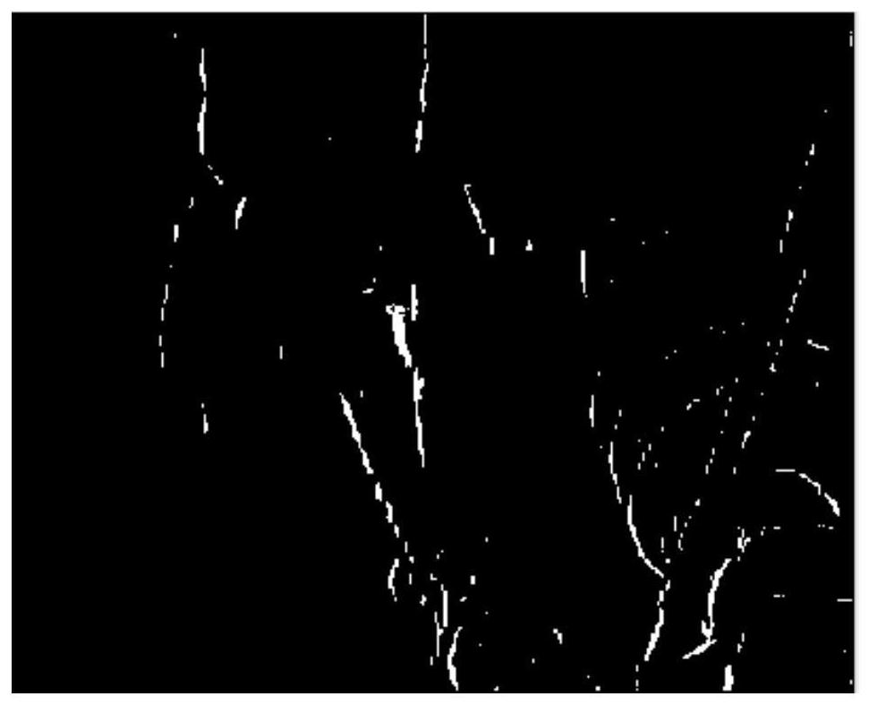 Cable fault detection method based on red and ultraviolet composite imaging