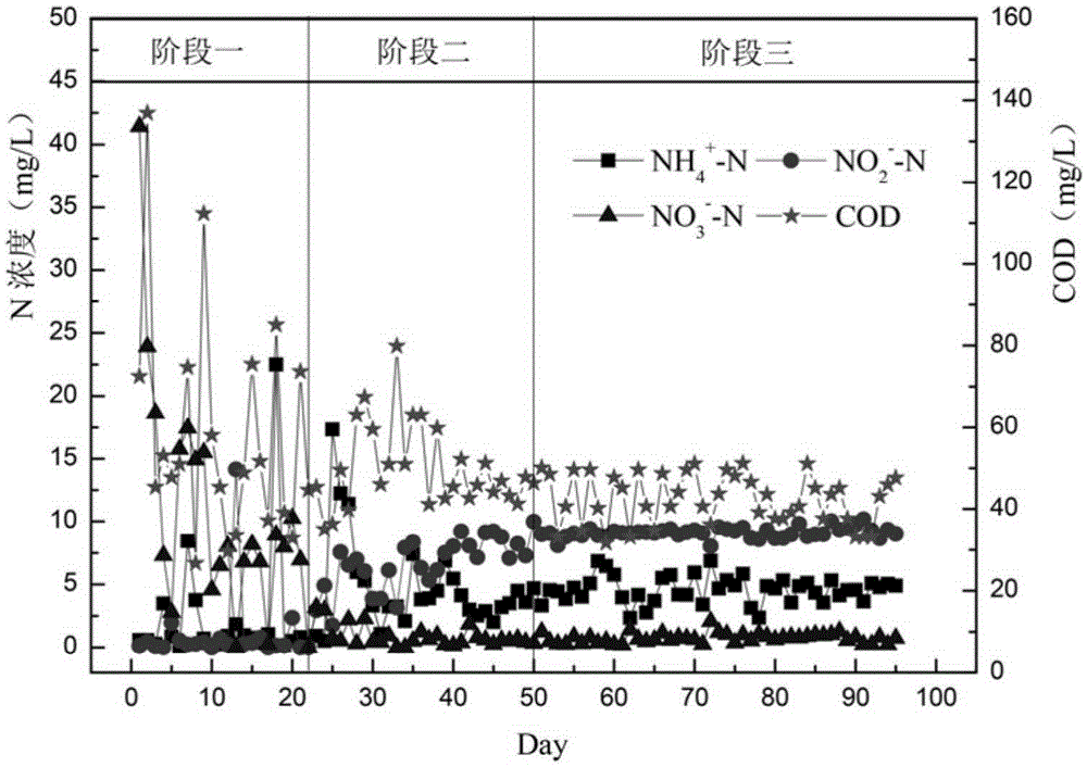 Method and device for staring and stably maintaining short-cut nitrification and denitrification by controlling different anoxic and aerobic volume ratios