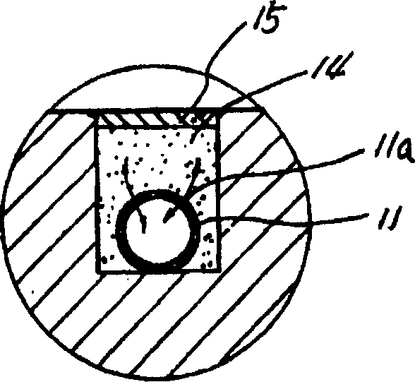 Apparatus for fermenting excrement, urine, garbage and sludge and reclaining sewage