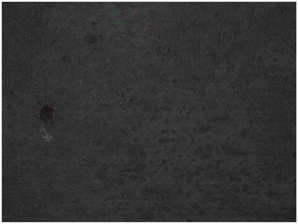 Black Mn-Fe-P-B composite plating solution as well as using method and film layer formed by solution