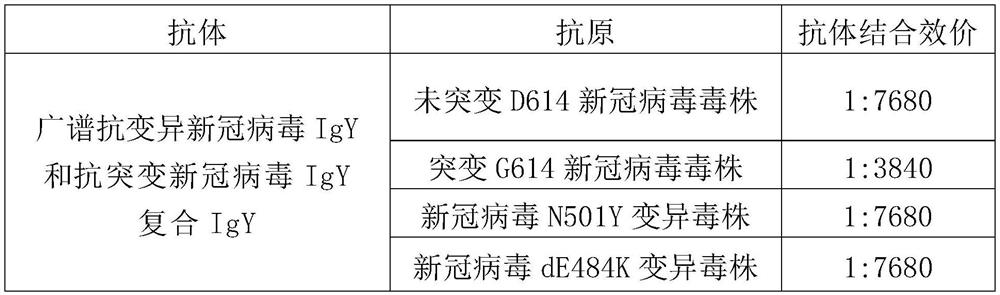 Broad-spectrum anti-variant new coronavirus IgY, composite antibody, preparation method and combined preparation