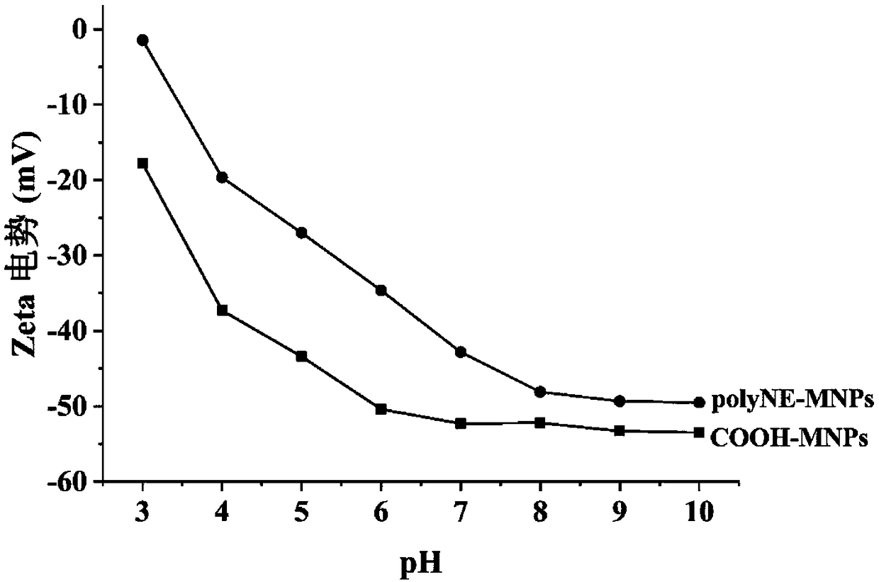 Polynorepinephrine modified magnetic particle and preparation method and application thereof