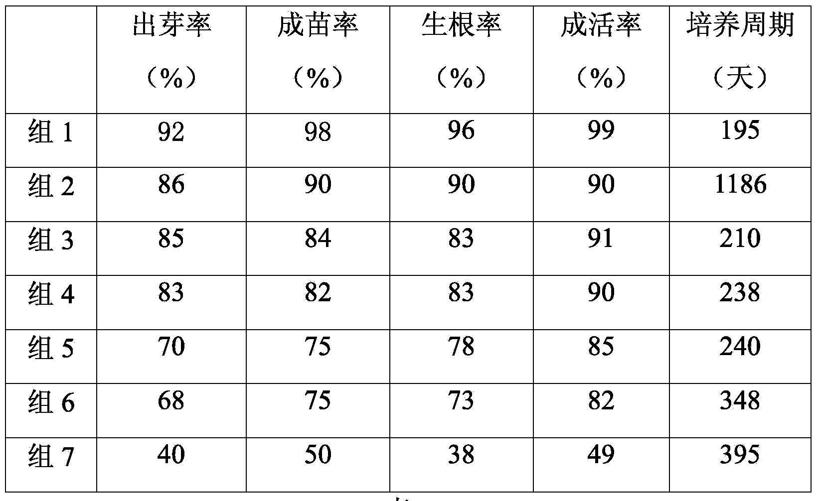 Dendrobium fimbriatum seed tissue culture and rapid propagation method