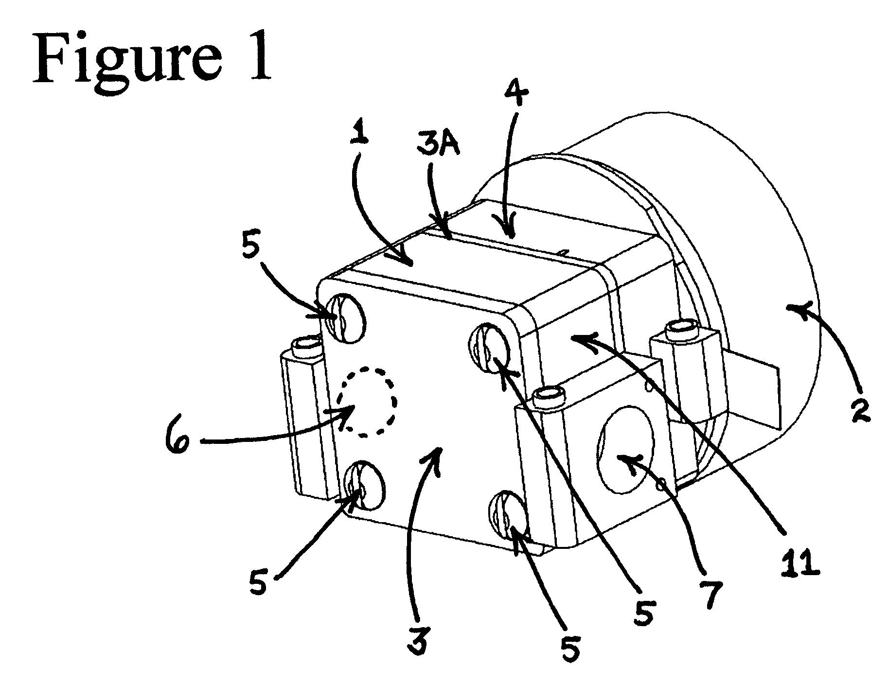 Dry running flexible impeller pump and method of manufacture