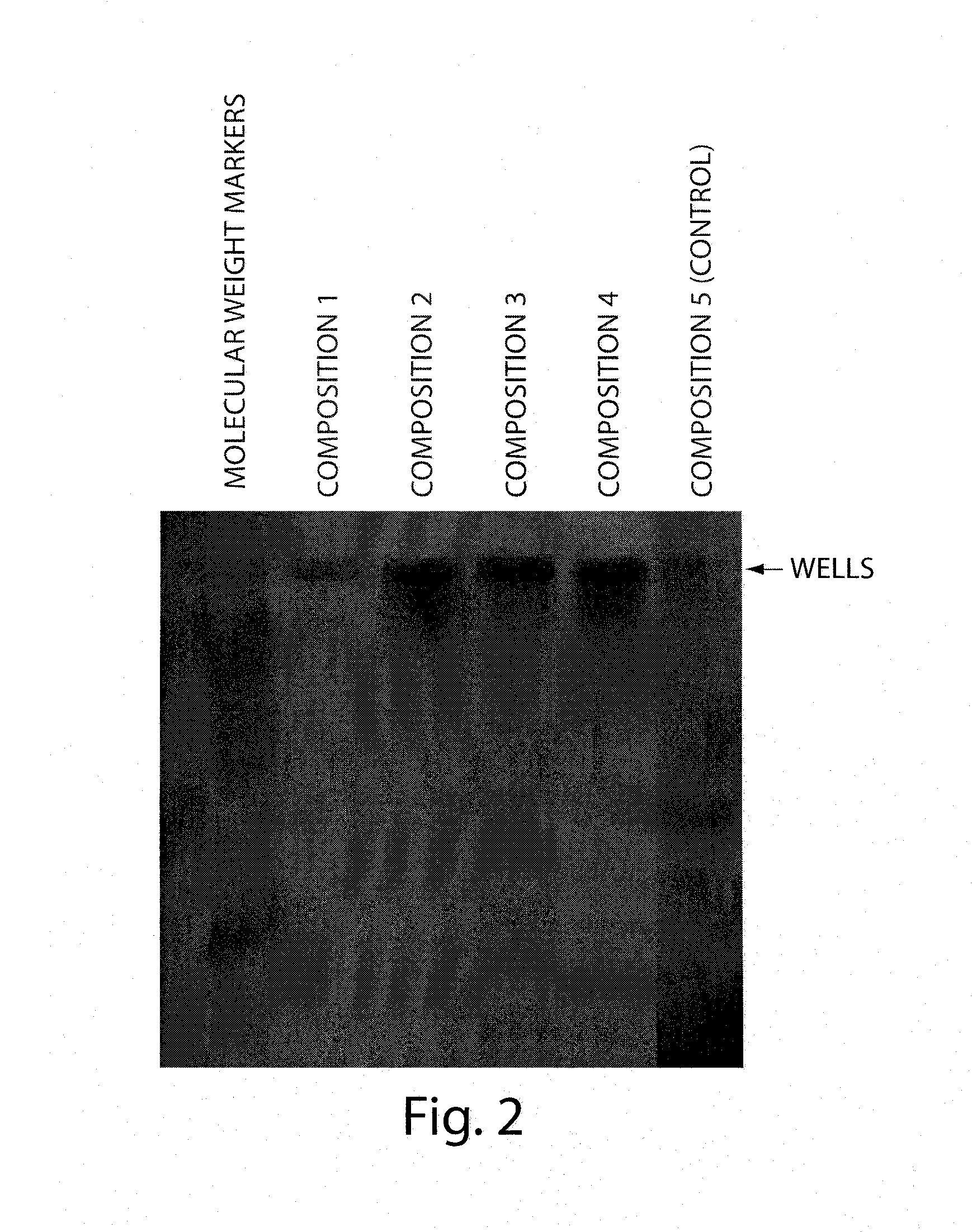 Protein matrix vaccines of improved immunogenicity