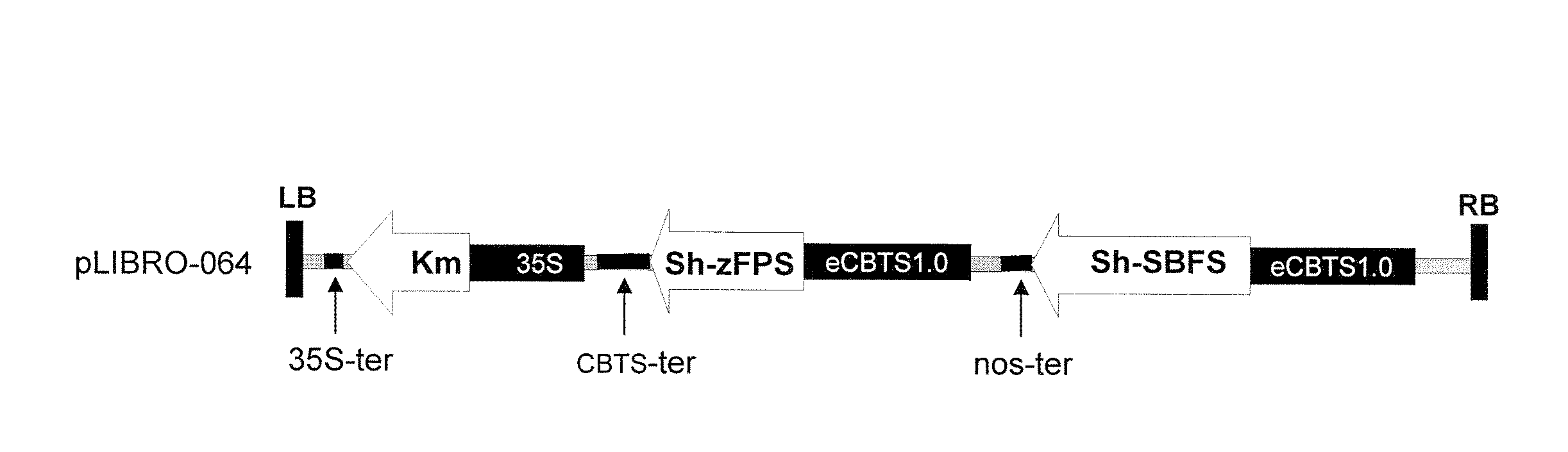 Genes Encoding Z,Z-Farnesyl Diphosphate Synthase and A Sesquiterpene Synthase with Multiple Products and Uses Thereof