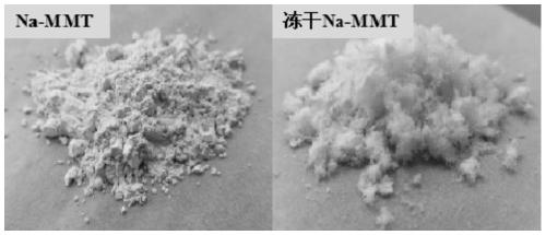 Method for enhancing surface property of montmorillonite by freeze-drying technology