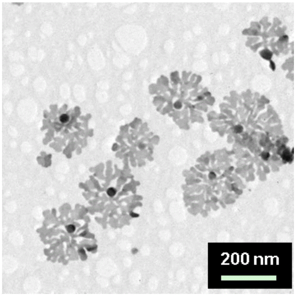 A kind of preparation method of two-dimensional fractal silver nanoparticles in alcohol-water system