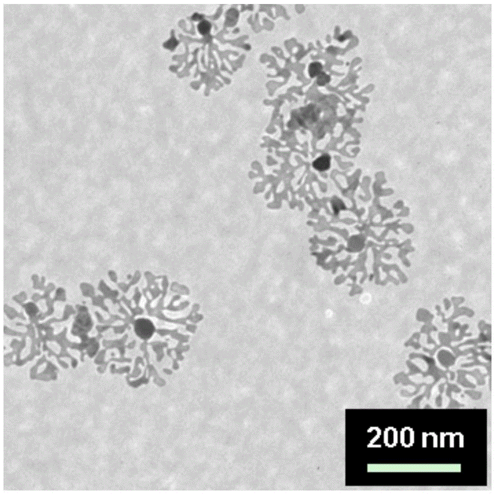 A kind of preparation method of two-dimensional fractal silver nanoparticles in alcohol-water system