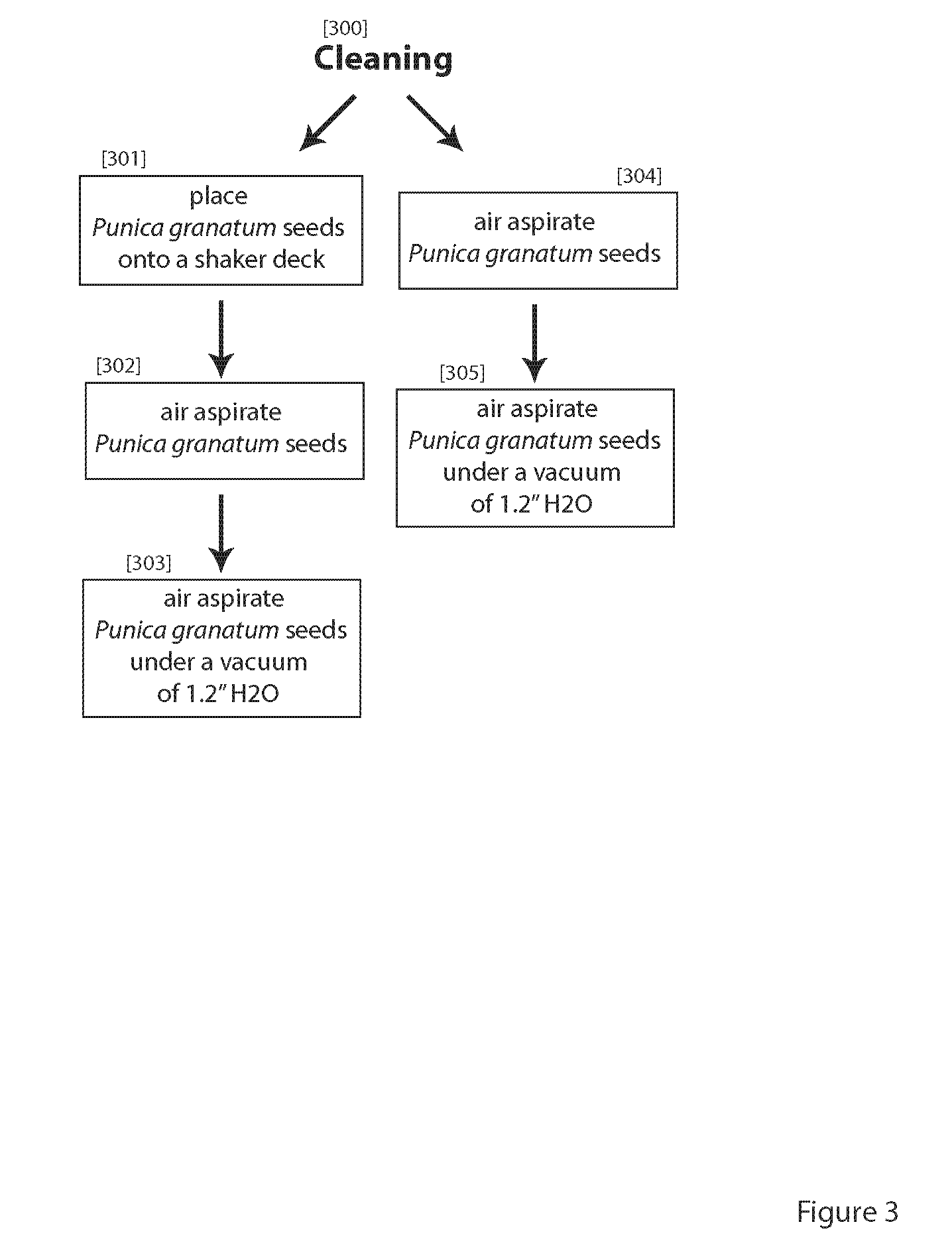 Method and composition for producing a stable and deodorized form of pomegranate seed oil