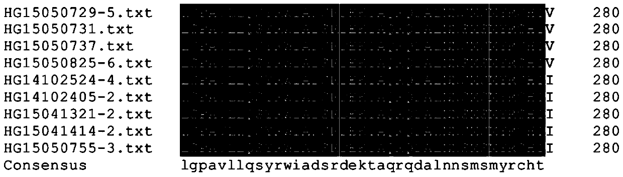 A method for rapid identification of Corynespora multiprimum resistance to fluopyram and a pair of special primers