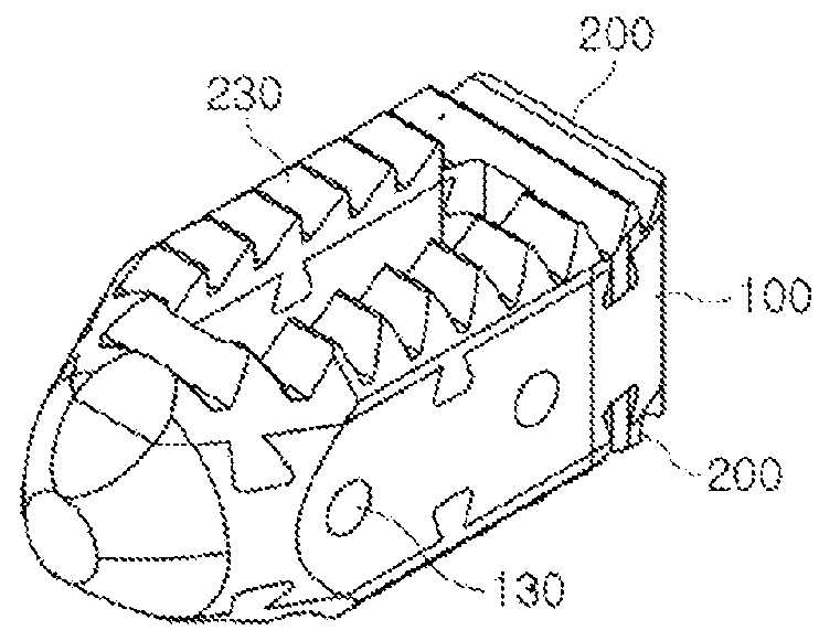 Spinal complex cage