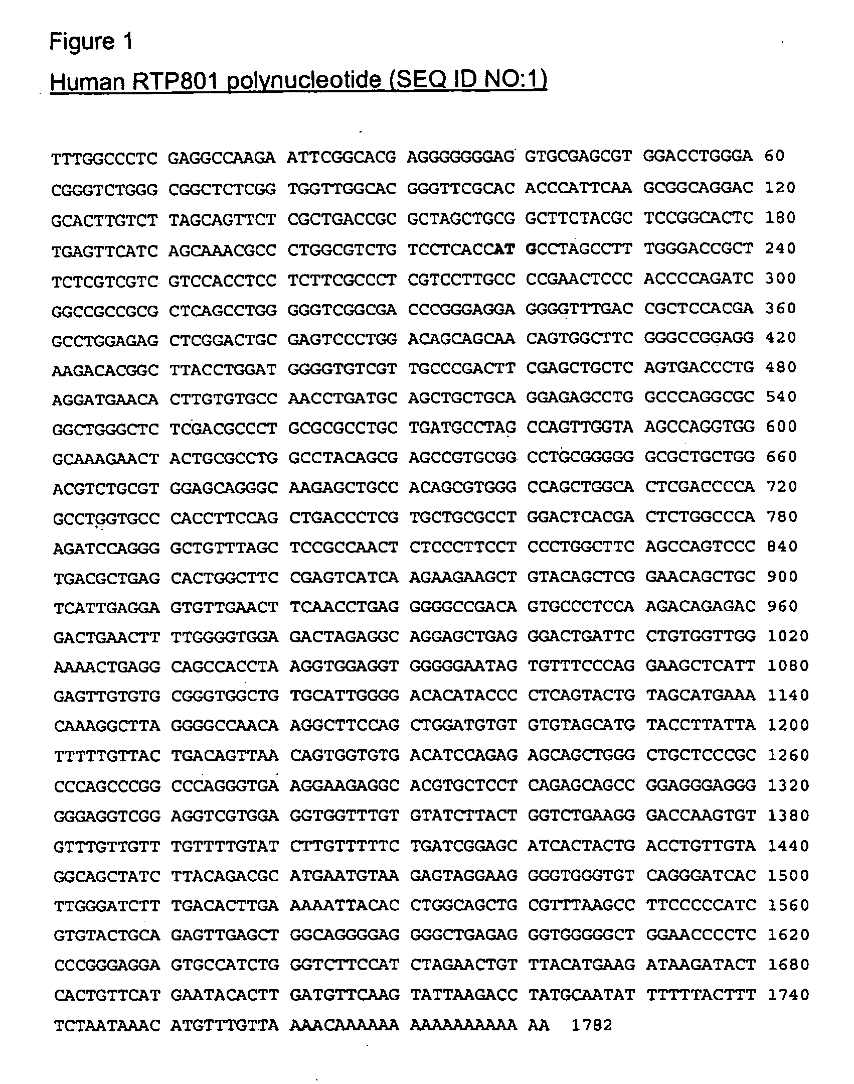 Therapeutic uses of inhibitors of RTP801