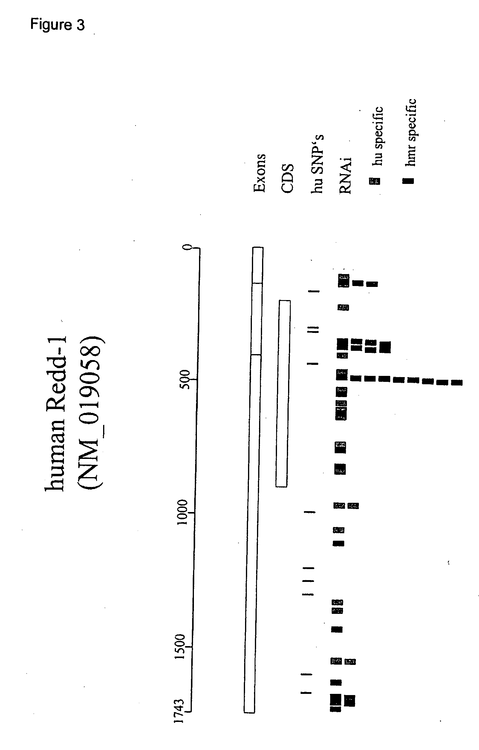 Therapeutic uses of inhibitors of RTP801