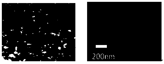 Hollow nanosphere with stable gastrointestinal tract and targeting intestinal microbial aggregation and preparation method thereof