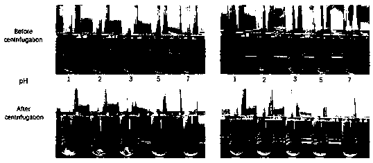 Hollow nanosphere with stable gastrointestinal tract and targeting intestinal microbial aggregation and preparation method thereof