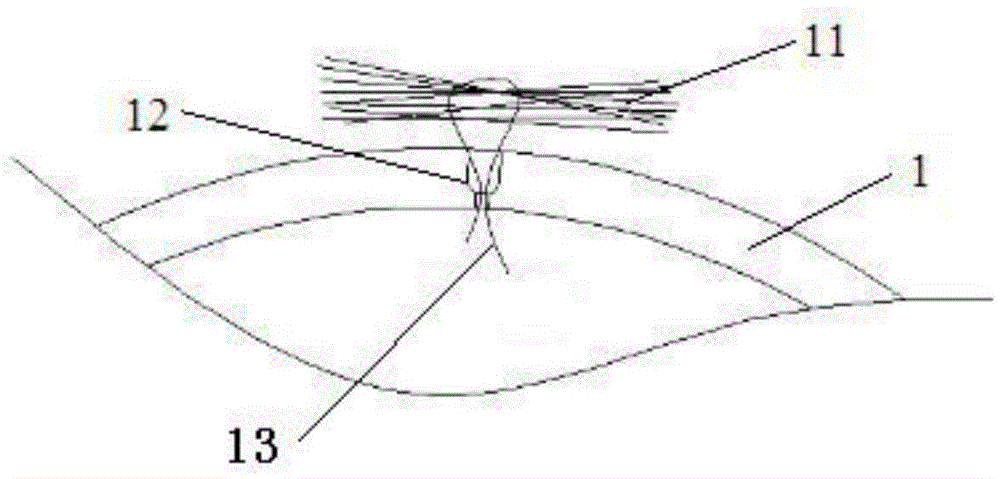 Glass polishing brush and polishing method and polishing device