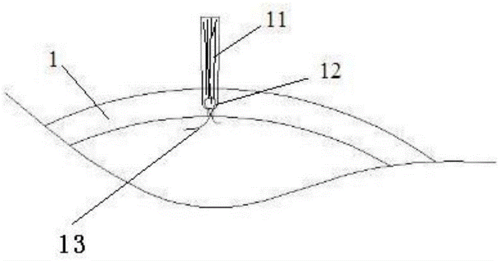 Glass polishing brush and polishing method and polishing device