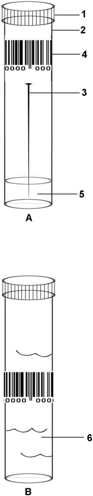 Operation mode of species quarantine and identification center