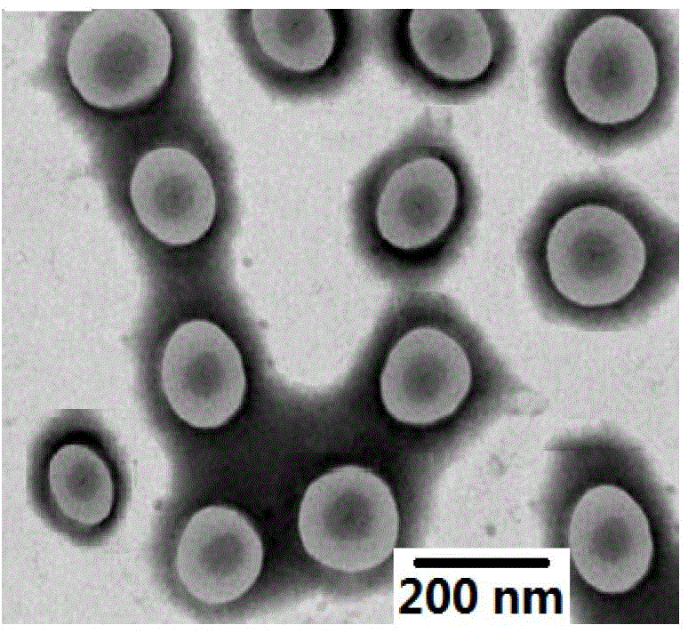 Preparation method of multifunctional medicine carrier integrating magnetism, fluorescence and thermosensitivity