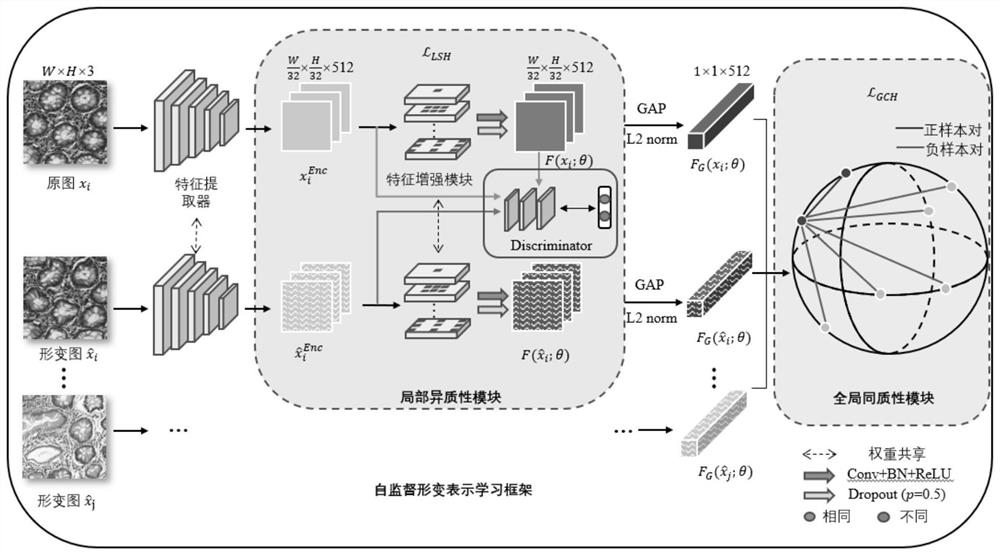 Pathological image analysis method based on deformation representation learning