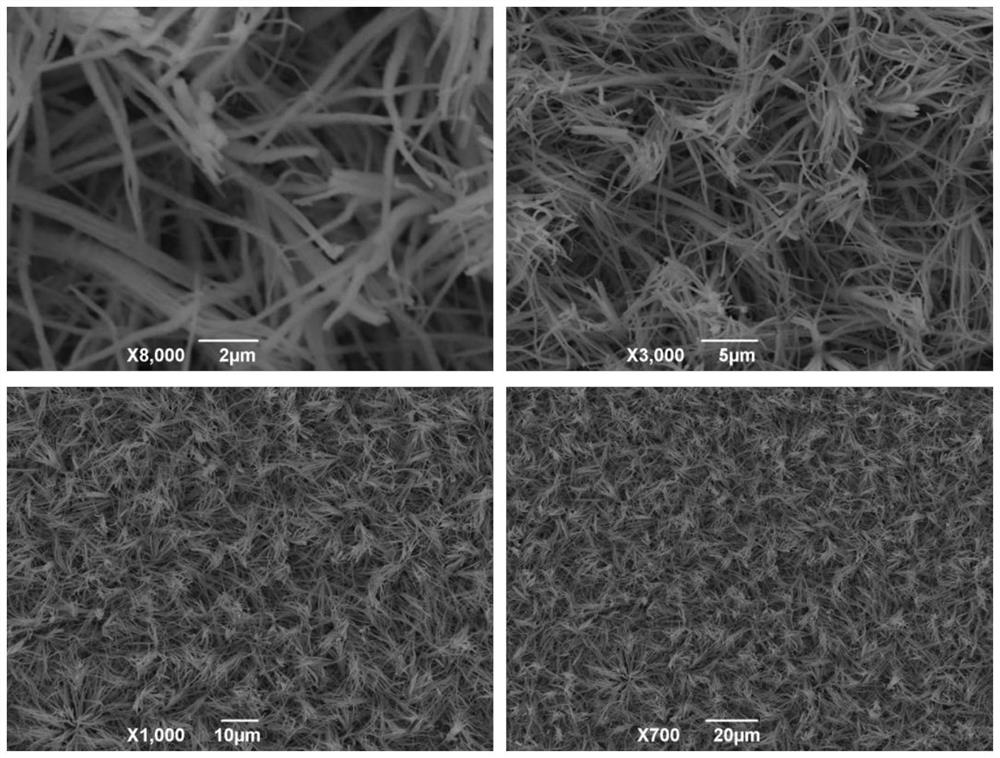 Anti-icing super-hydrophobic coating constructed on surface of metal copper in situ, preparation method and application of anti-icing super-hydrophobic coating