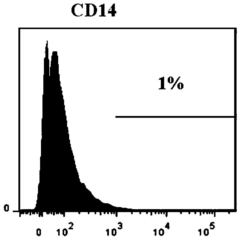 Gingival mesenchymal stem cell exosome preparation and application thereof