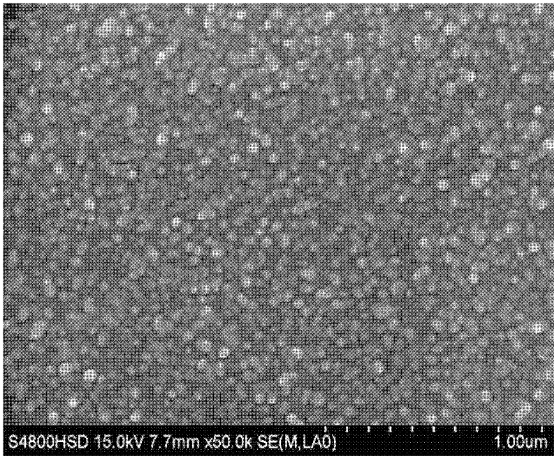 Method using gamma radiation for preparing nano-silver surface-enhanced Raman spectrum substrate