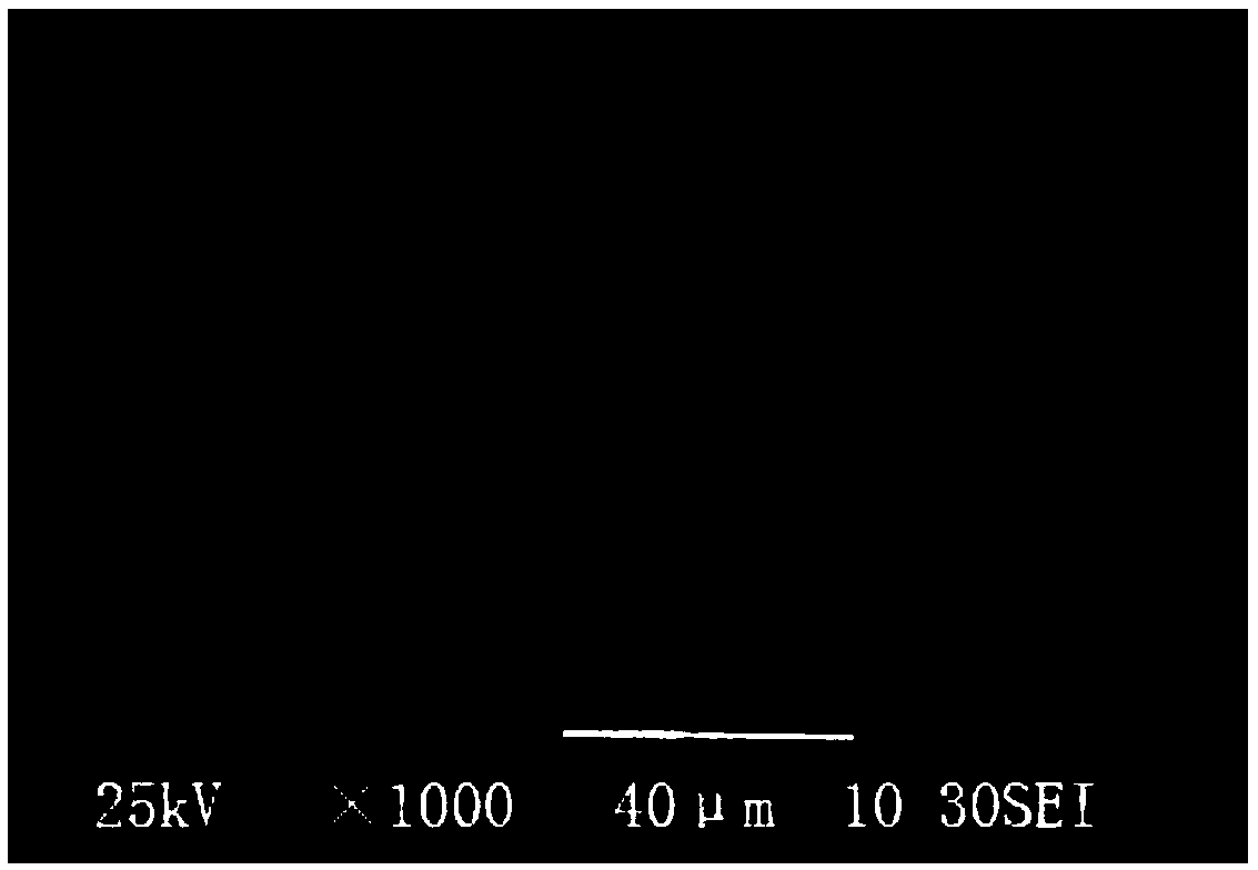 Coarse cereal powder delicate in taste and preparation method thereof