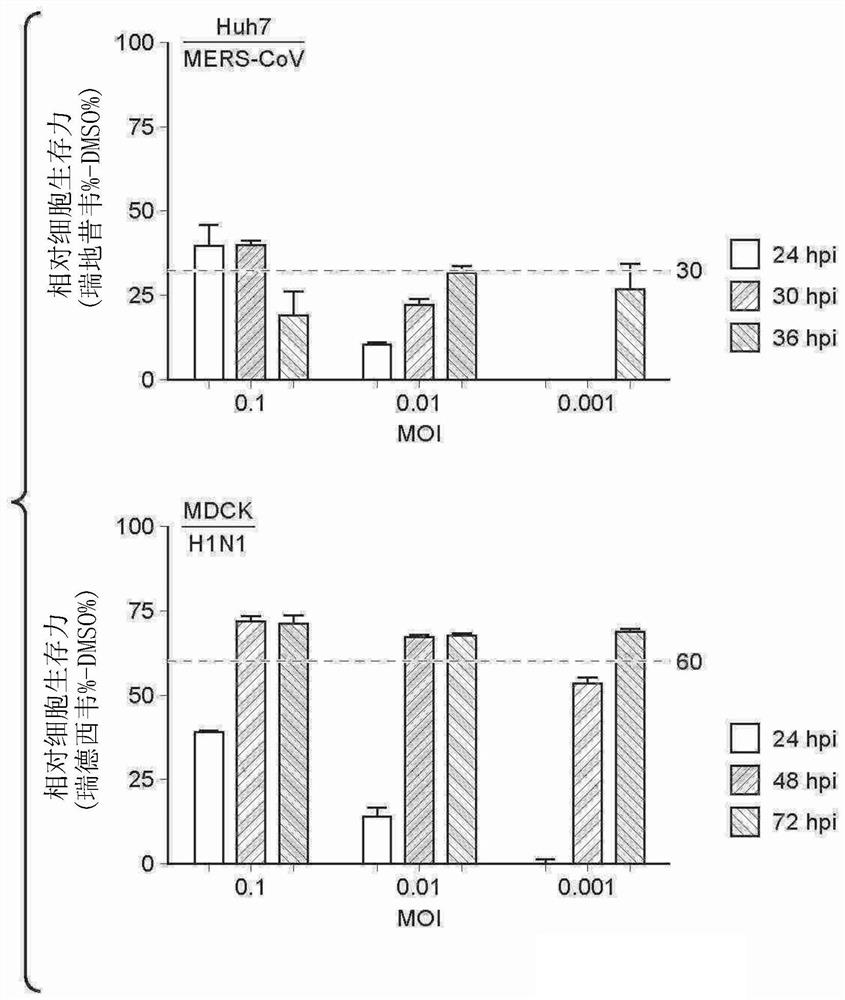 Compositions and methods for broad-spectrum antiviral therapy