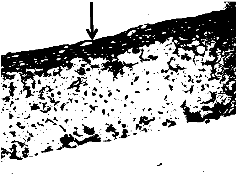 Artificial three-dimensional epidermis model, and construction method and construction medium thereof