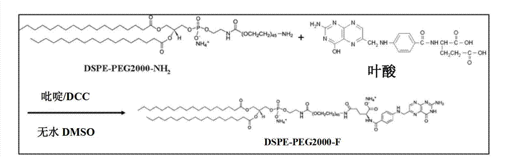 Dual-targeted liposome, and preparation method and application thereof