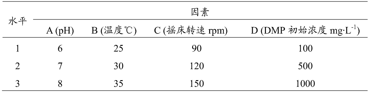 A Bacillus strain capable of efficiently degrading dmp, its cultivation method and its application in remediating soil paes pollution