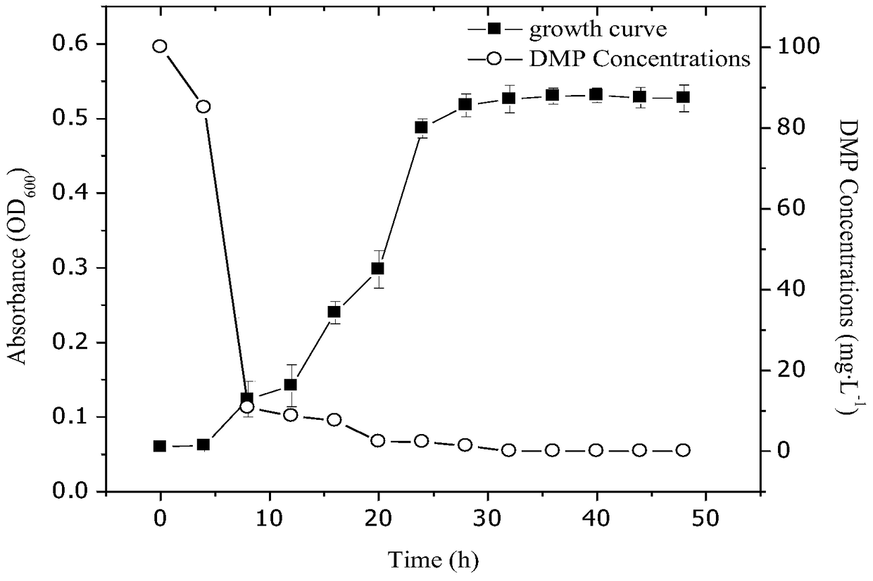 A Bacillus strain capable of efficiently degrading dmp, its cultivation method and its application in remediating soil paes pollution