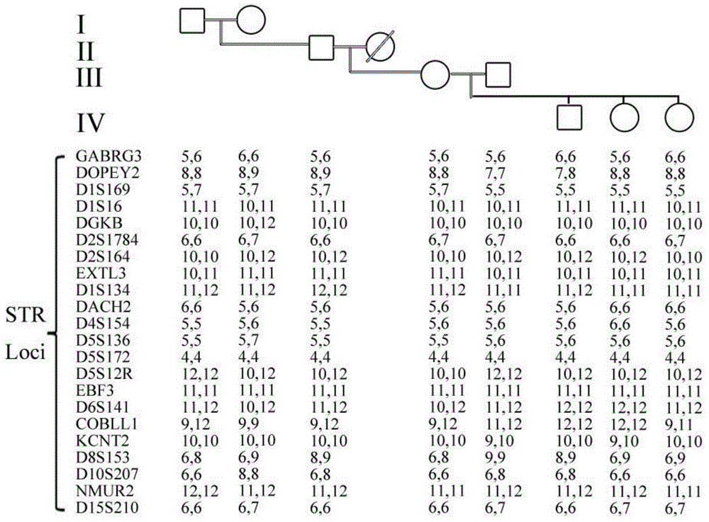 A method for establishing an animal paternity system based on genome-wide str