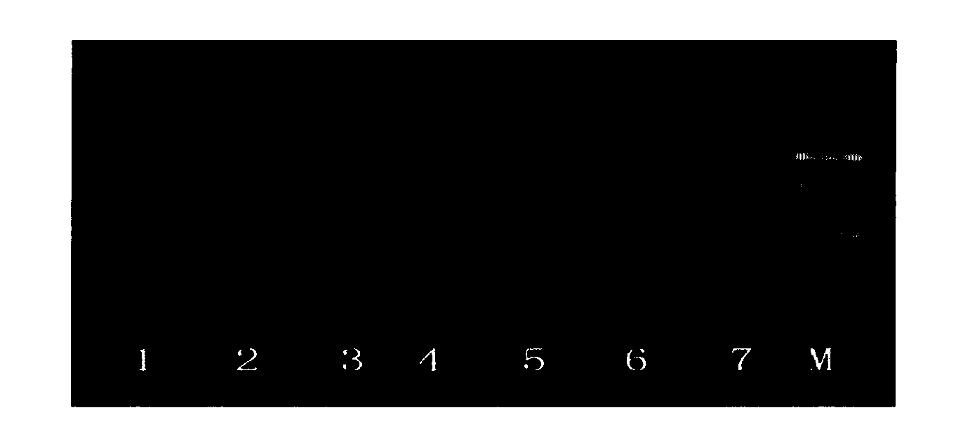 Method for gathering foreign DNA in transgenosis product