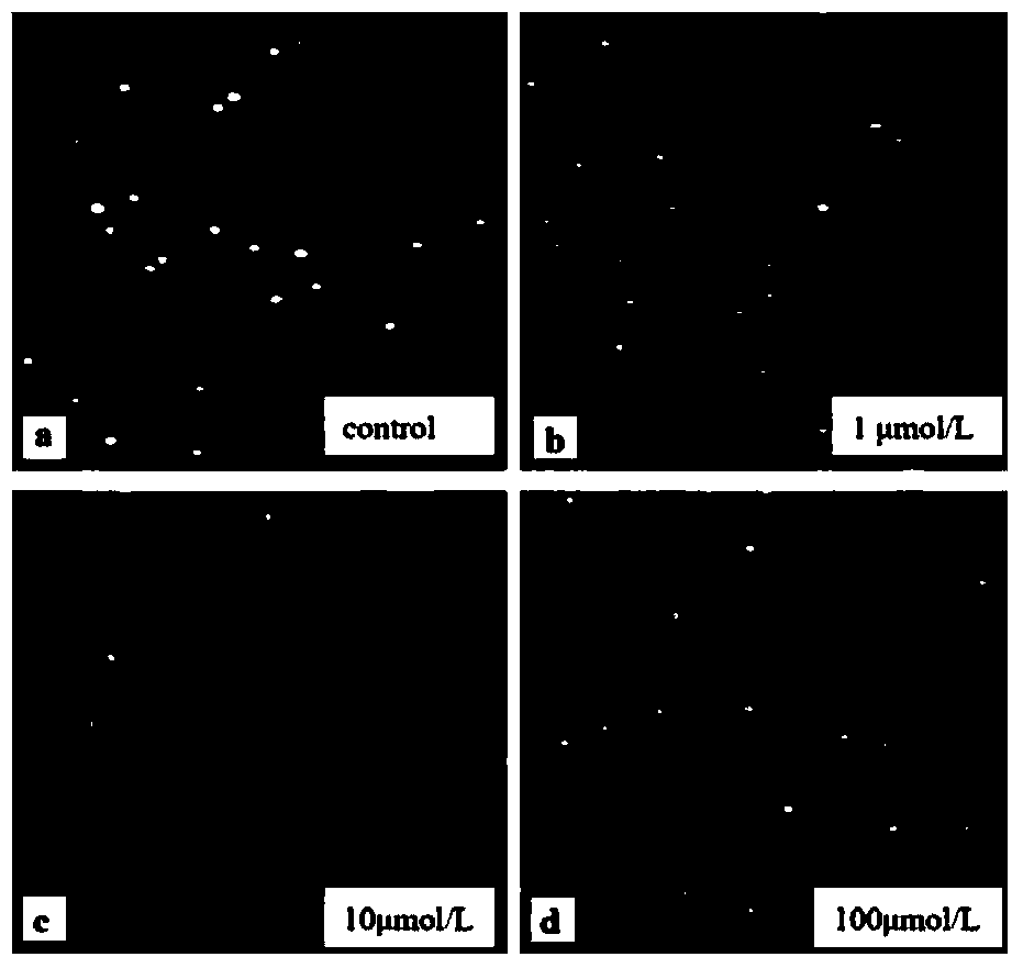 Cell DNA damage detection method