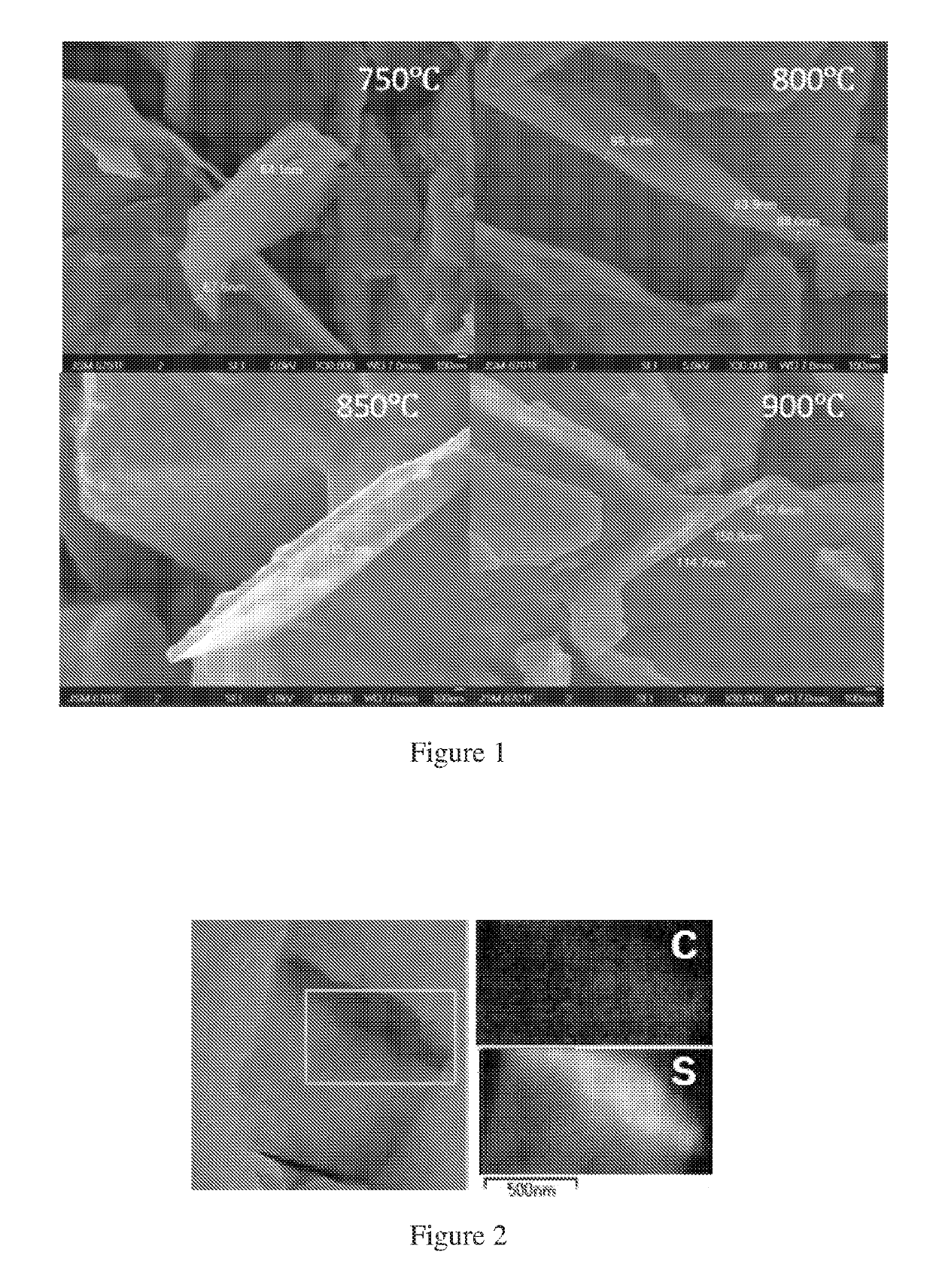 Sulfur-carbon composite comprising micro-porous carbon nanosheets for lithium-sulfur batteries and process for preparing the same