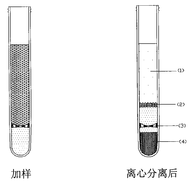 Blood cell separation tube and separation method of mononuclear cell