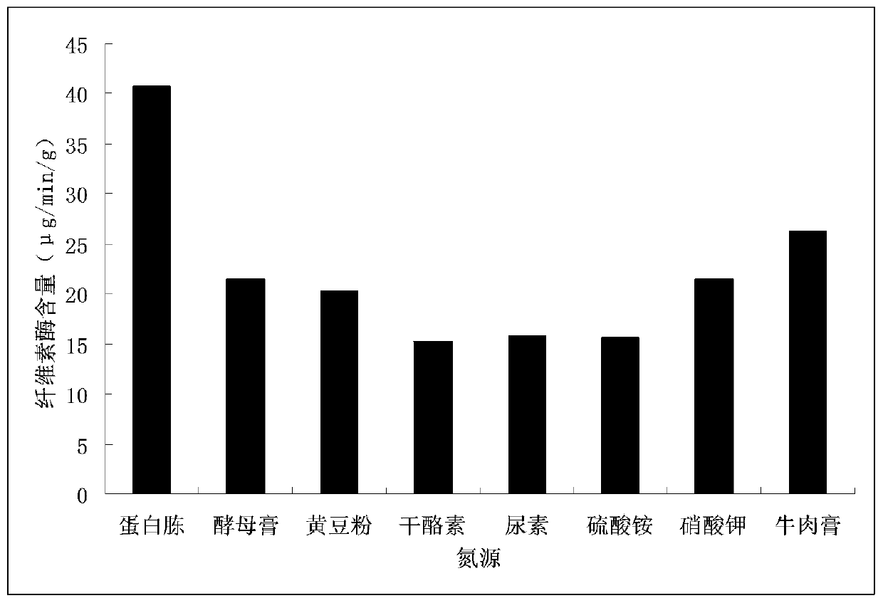 Saccharomycetes for producing cellulase at low temperature and screening method thereof