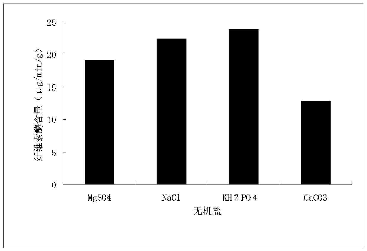 Saccharomycetes for producing cellulase at low temperature and screening method thereof