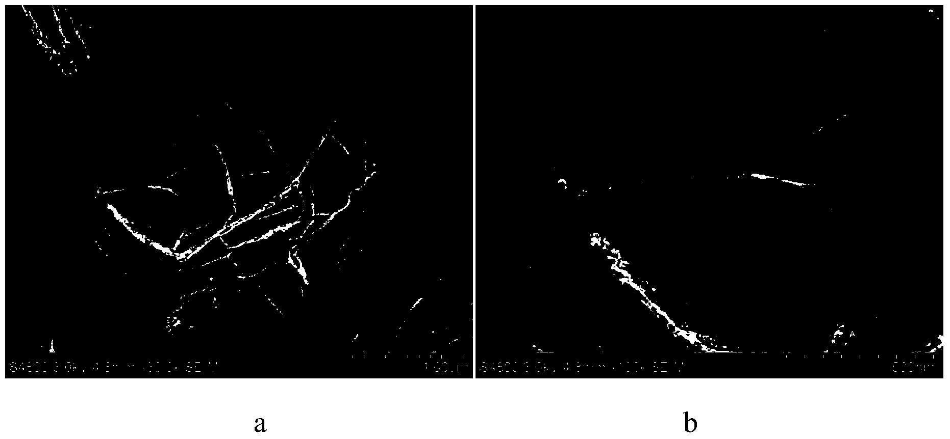 Rare earth element Nd-doped Bi2WO6 composite photocatalyst, preparation method therefor and applications thereof