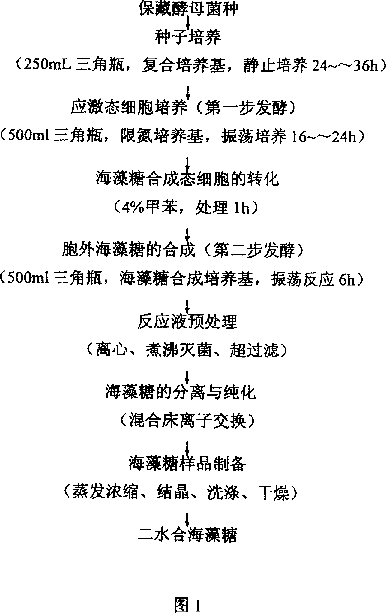 Method for producing yeast extracellular trehalose by two step fermentation method