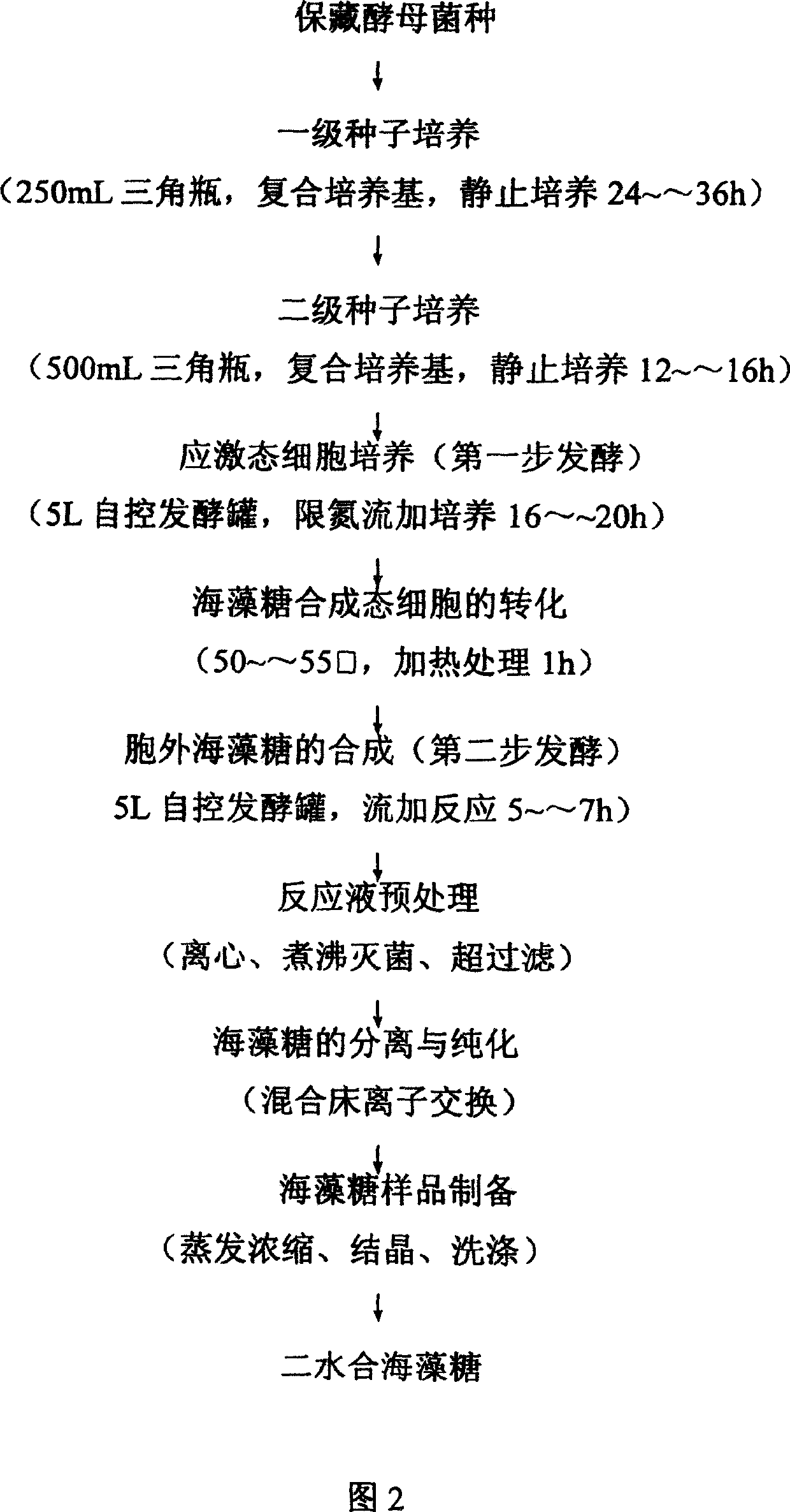 Method for producing yeast extracellular trehalose by two step fermentation method