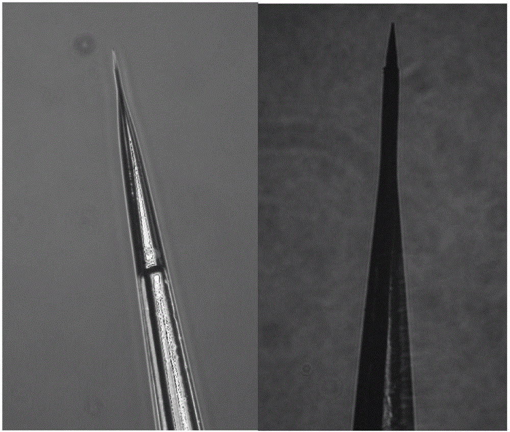 Preparation method of carbon fiber ultramicroelectrode