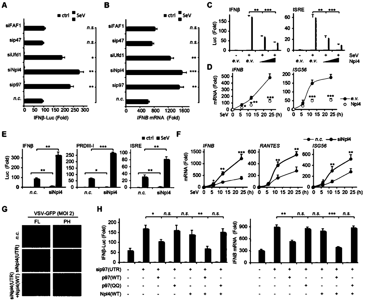 Use of epirubicin hydrochloride in the preparation of an inhibitor capable of blocking the interaction between p97 and npl4