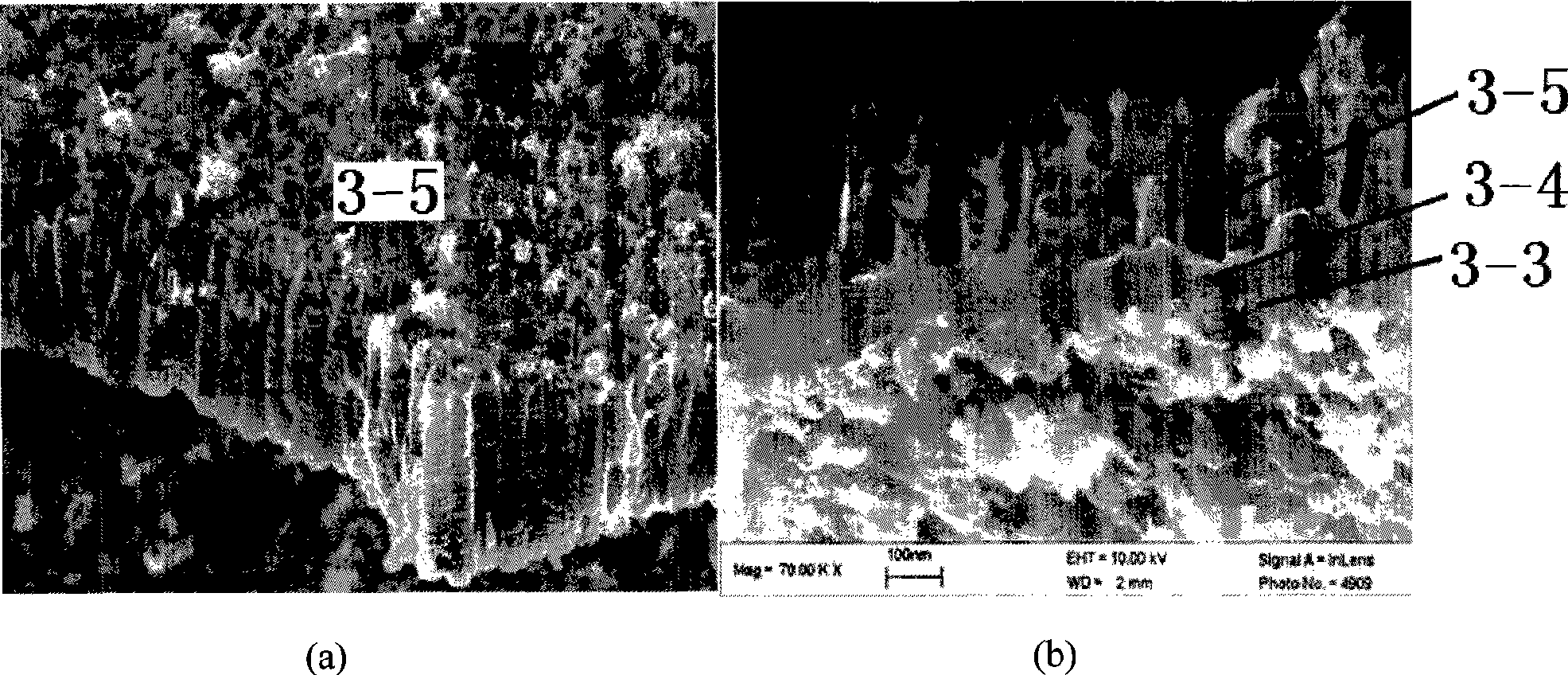 Flexible dye-sensitized solar battery with stainless steel as substrate and preparation method thereof