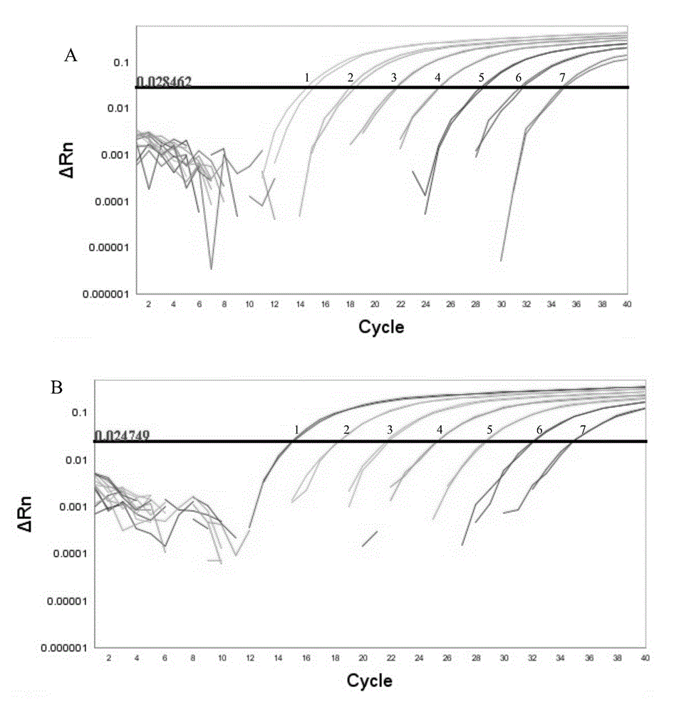 Pig-sourced eperythrozoon fluorogenic quantitative PCR detection kit and application thereof