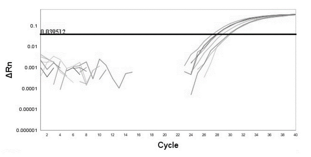 Pig-sourced eperythrozoon fluorogenic quantitative PCR detection kit and application thereof