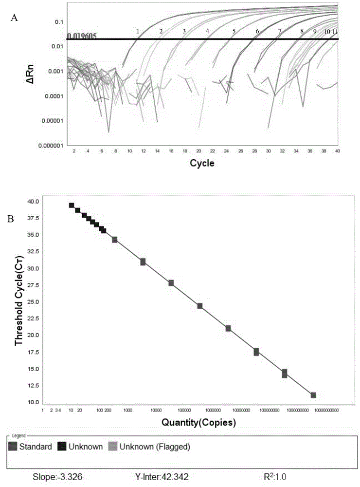 Pig-sourced eperythrozoon fluorogenic quantitative PCR detection kit and application thereof